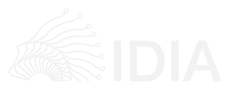 IDIA, inicio